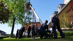 2025-04 Maibaum stellen Unterentersbach (39)
